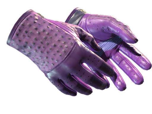 ★ Driver Gloves | Plum Quill CS2 skin